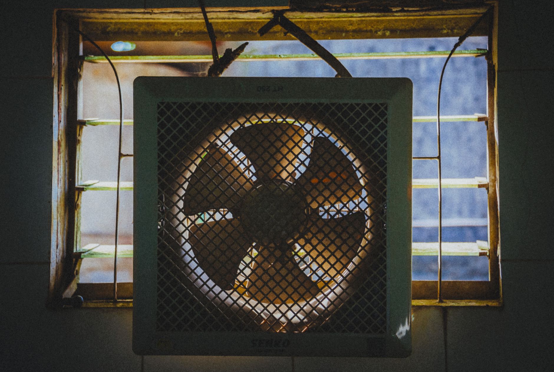 換気扇 掃除 頻度